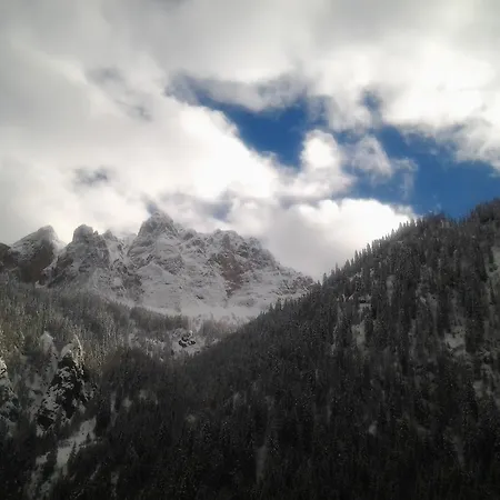 Le Palue