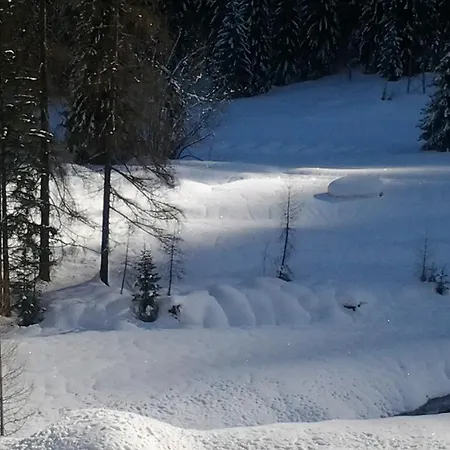 Le Palue *