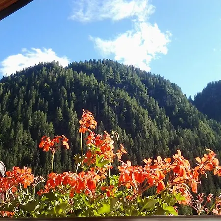 Bed & Breakfast Le Palue *